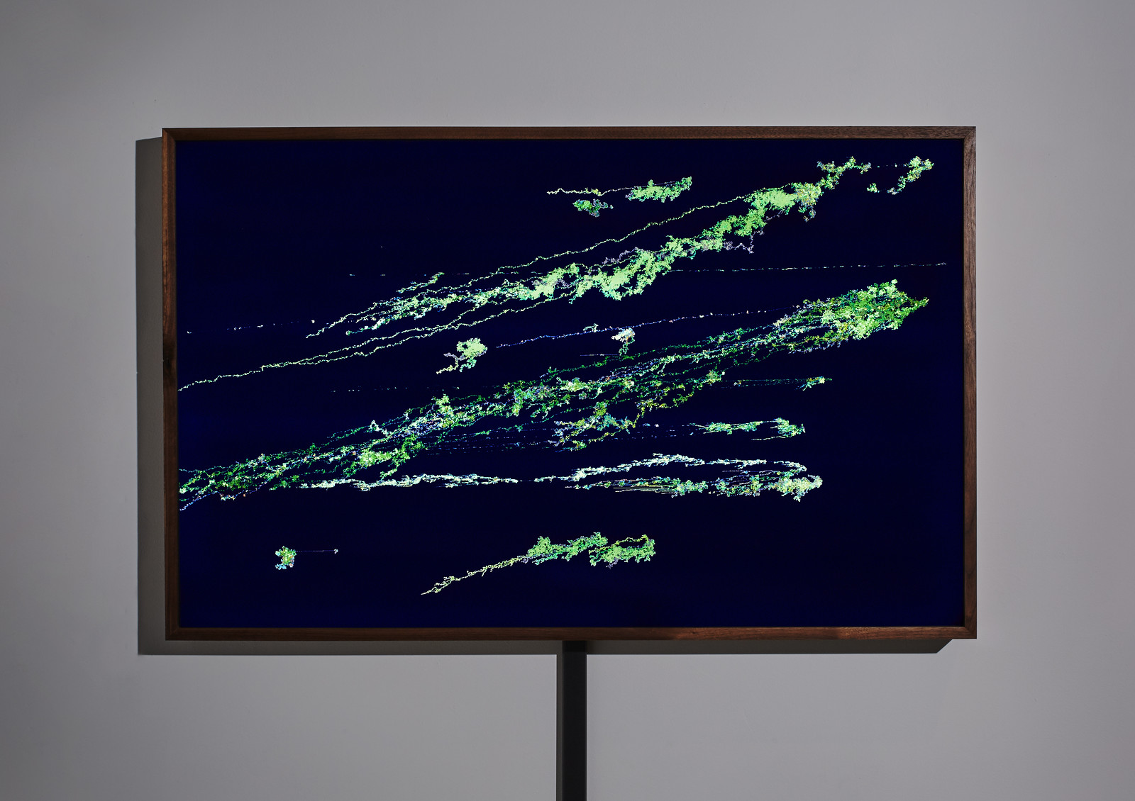 Photograph of a wooden-framed, illuminated artwork hanging on a gray wall showing a smattering of green and white striated, organically shaped pixelated forms against a deep blue background.