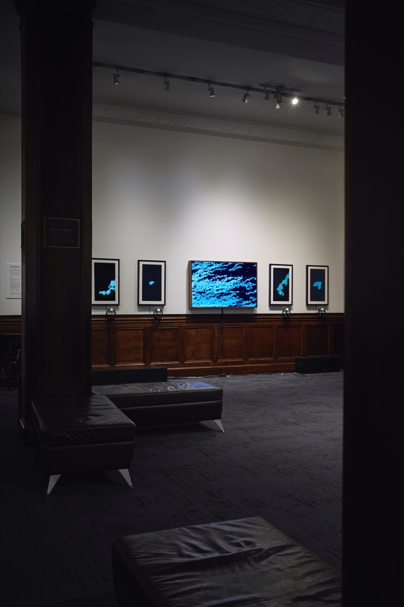 Photograph, taken from afar, of five teal blue artworks hung on a white wall with three-foot-tall wood paneling. In the foreground is a large, cavernous space with gray carpeting and large, gray leather lounge couches.